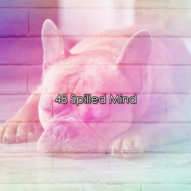 48 Spilled Mind - The Deep Sleep Music Academy