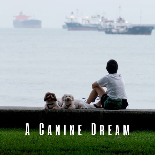 A Canine Dream: Ambient Music for Dogs - Ambient Music Bliss