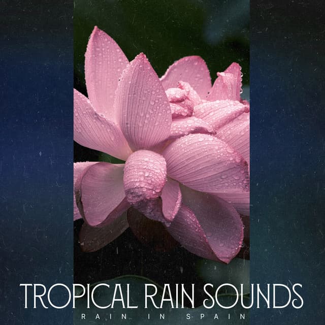 Tropical Rain Sounds - Rain In Spain