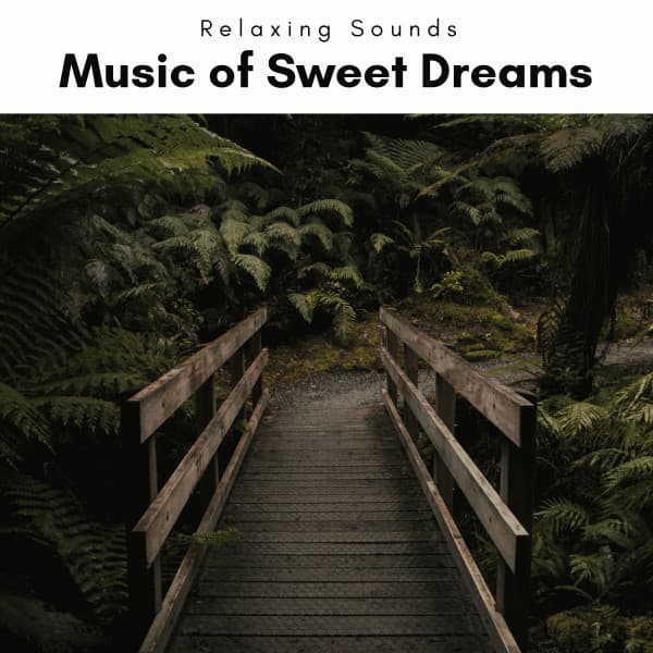 2 0 2 2 Music of Sweet Dreams - Nano Sounds