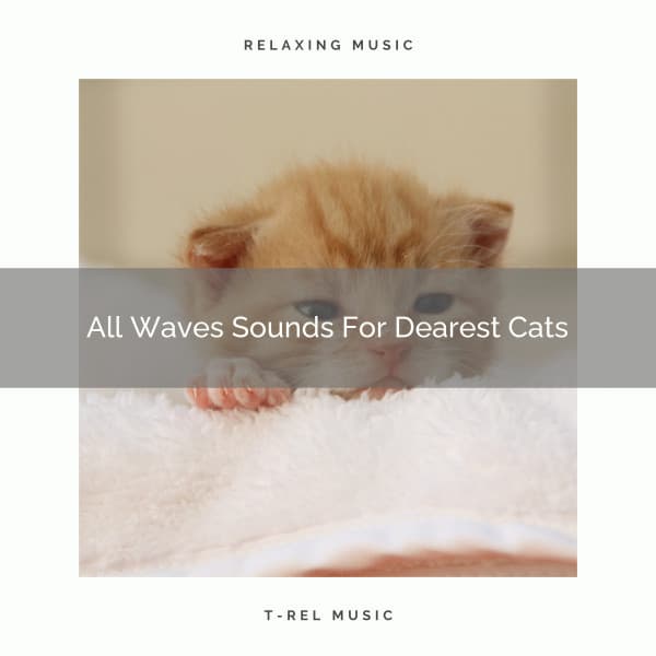 All Waves Sounds For Dearest Cats - Pets Total Relax