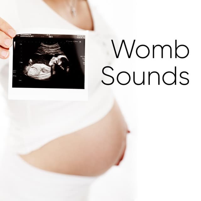 Womb Sounds - White Noise Collectors