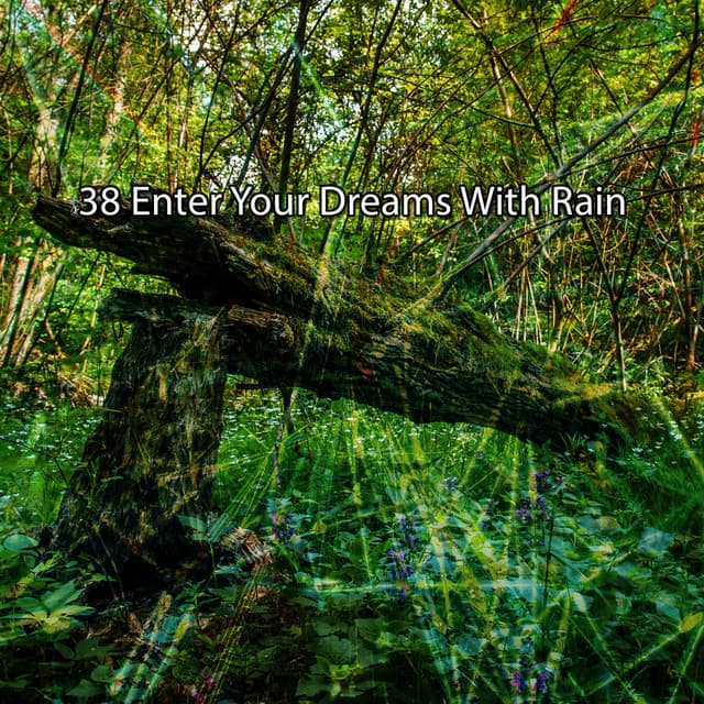 38 Enter Your Dreams With Rain - Rain Atmospheres