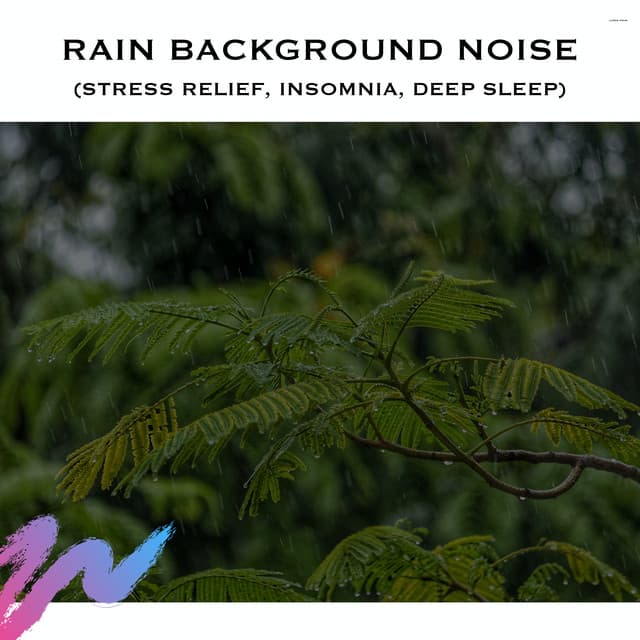 Rain Background Noise - Serene Rose