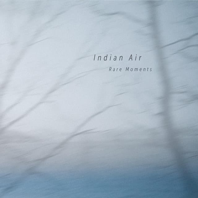 Indian Air