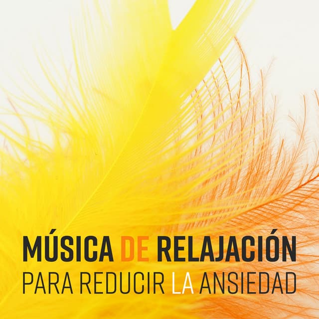 Música de Relajación para Reducir la Ansiedad - Meditación Tranquila, Mejor Dormir, Alma Curativa - Relajación Mantra Guru