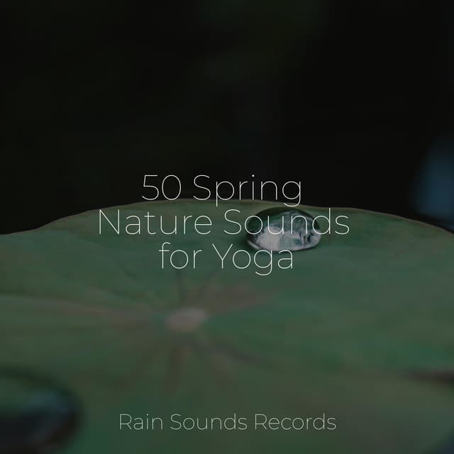 50 Spring Nature Sounds for Yoga - Sleepy Night Music