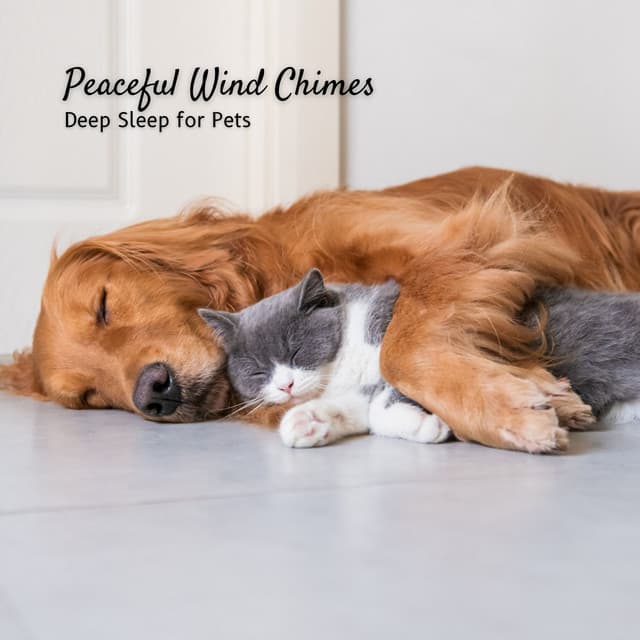 Peaceful Wind Chimes: Deep Sleep for Pets - Total ASMR