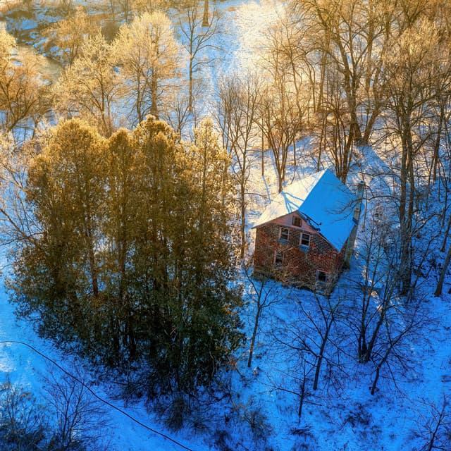 365 Feels: Daily Dose - Lofi Chill