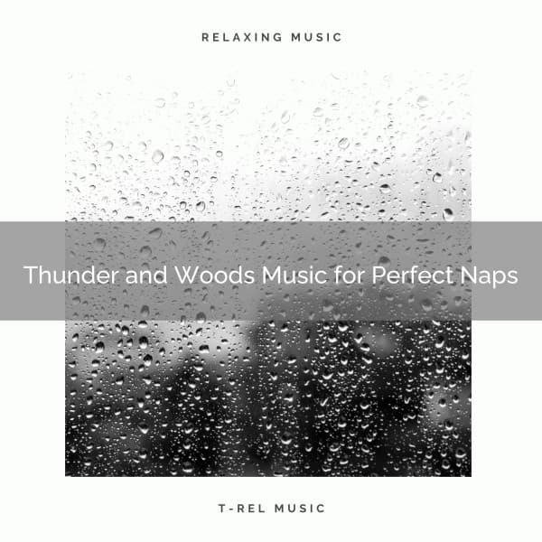 Thunder and Woods Music for Perfect Naps - Calm Rain for Sleep