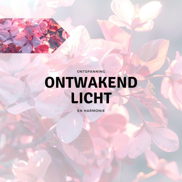 Ontwakend Licht - Ontspanning en Harmonie