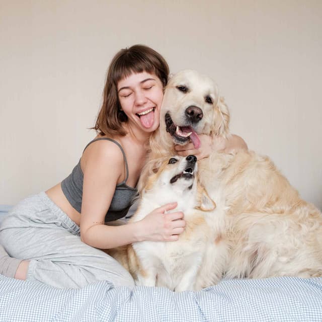 Music for The Relaxing Puppy - Calming for Dogs