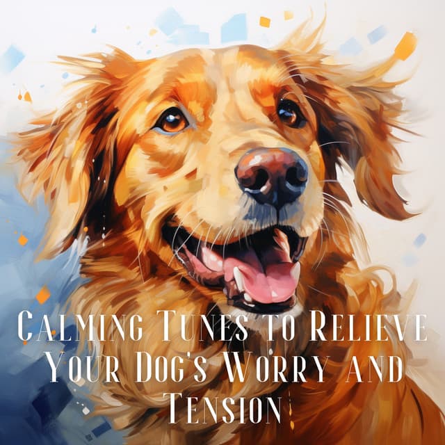 Calming Tunes to Relieve Your Dog's Worry and Tension - Dog & Calm