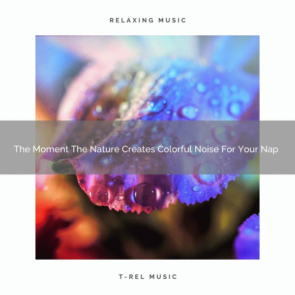 The Moment The Nature Creates Colorful Noise For Your Nap - White Noise Spa