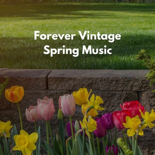 New Relaxing Music for Spring - Soft Jazz Romance