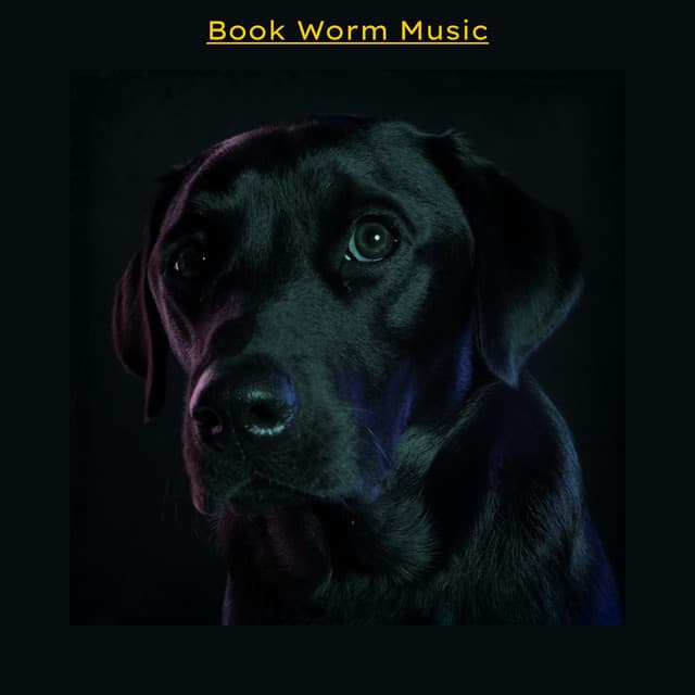 Book Worm Music - Calm Music for Studying