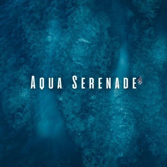 Aqua Serenade: Ocean and Chill Sounds for a Revitalizing Massage - Calming Waves
