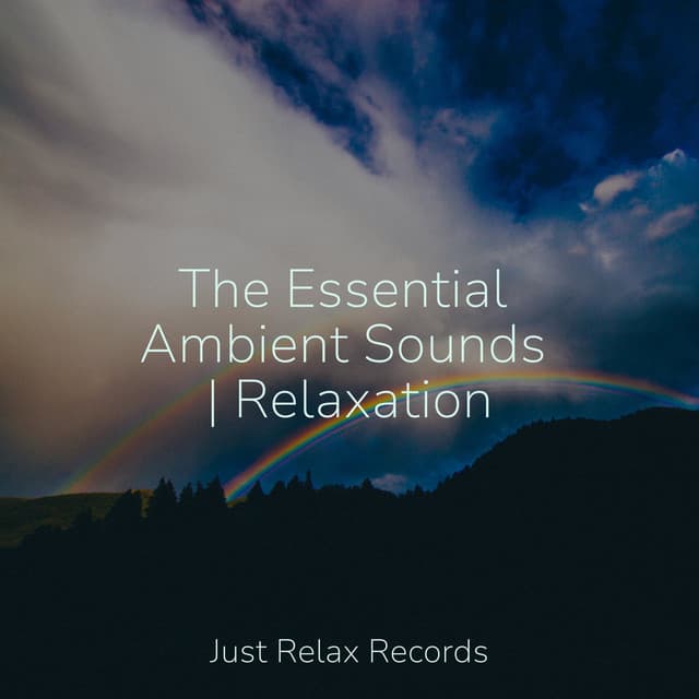 The Essential Ambient Sounds | Relaxation - Lullaby Land