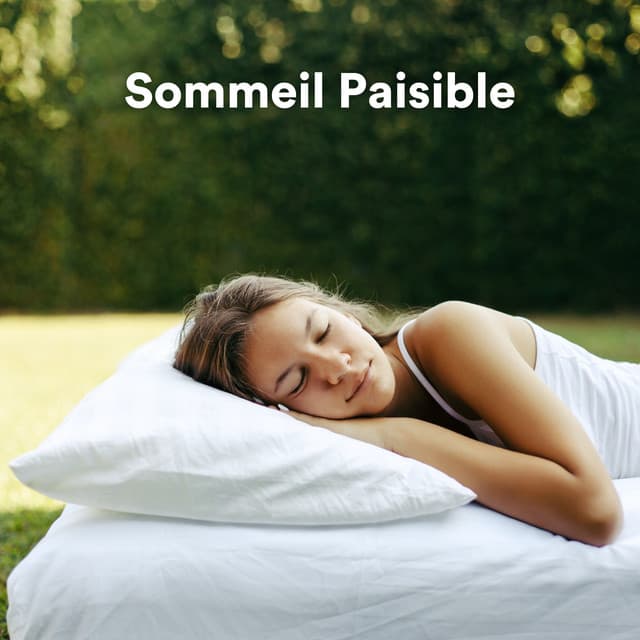 Musique pour Dormir
