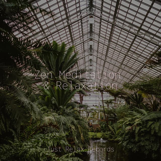 Zen Meditation & Relaxation - Spa & Spa