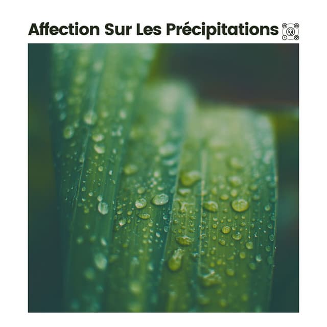 Affection Sur Les Précipitations - Hi-Def FX