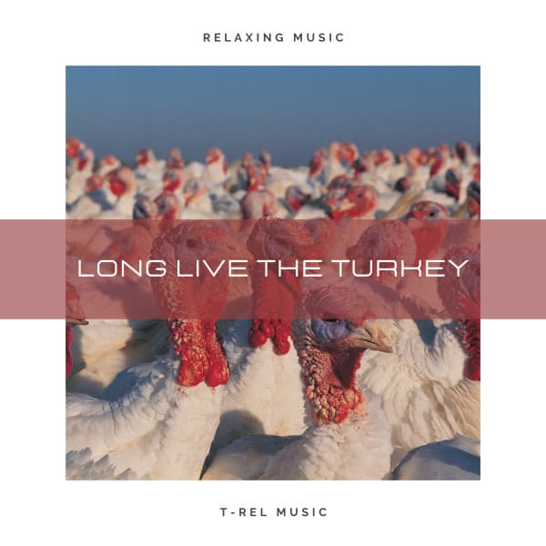 Long Live The Turkey - Long Live The Turkey