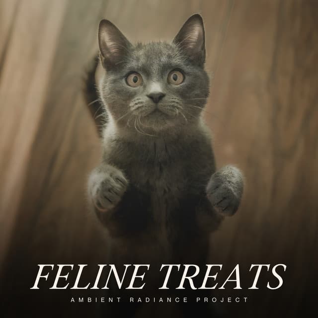 Feline Treats - Music for Cats Peace