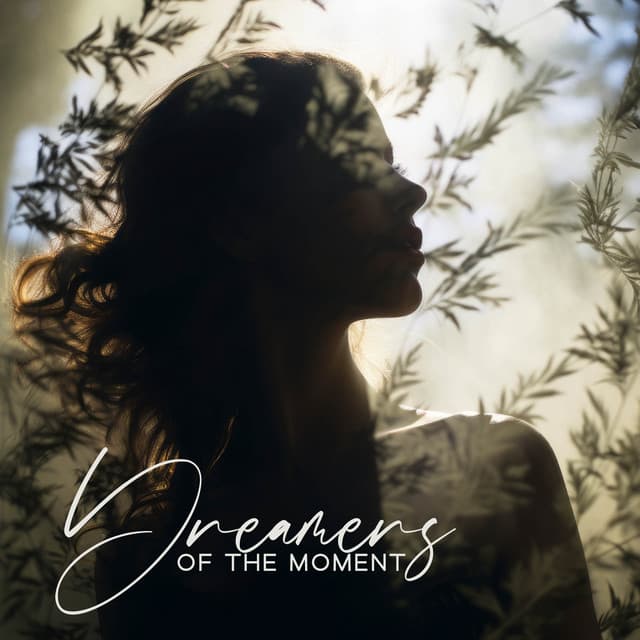 Dreamer Chill Out Sanctuary