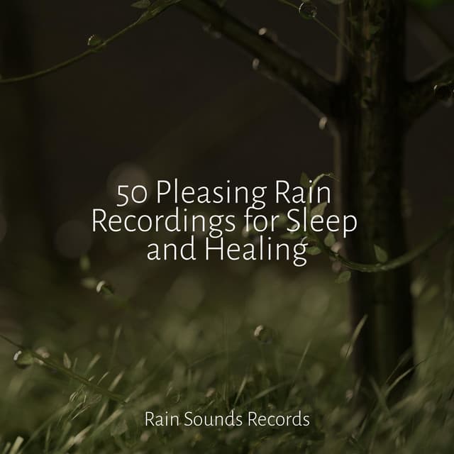 50 Pleasing Rain Recordings for Sleep and Healing - Yoga
