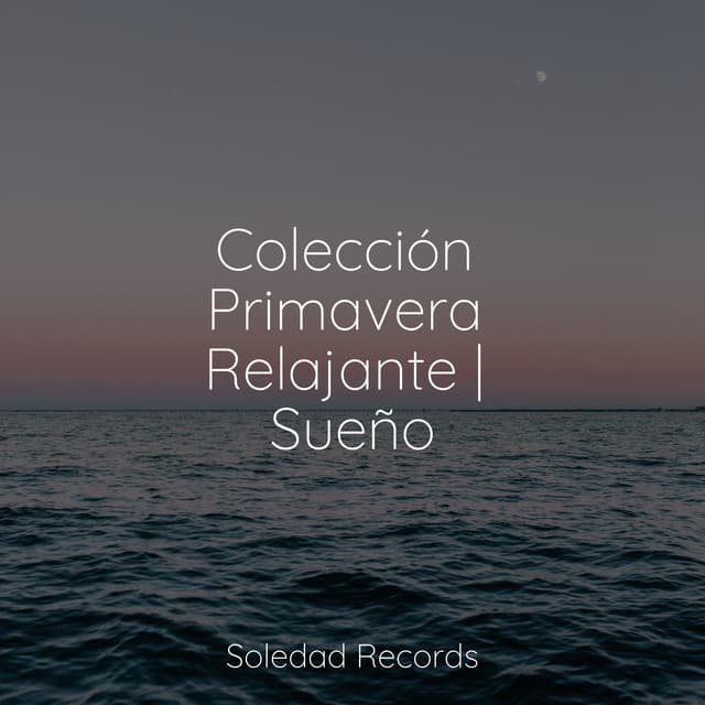 Colección Primavera Relajante | Sueño - Musica para Meditar