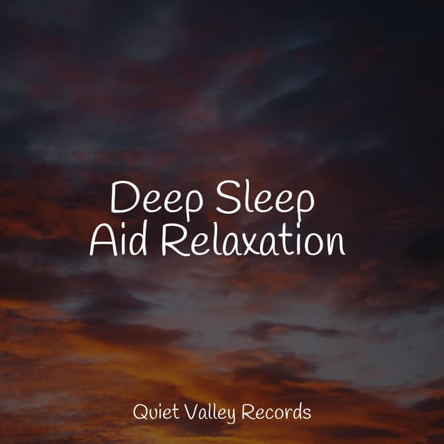Deep Sleep Aid Relaxation - Sol y Lluvia