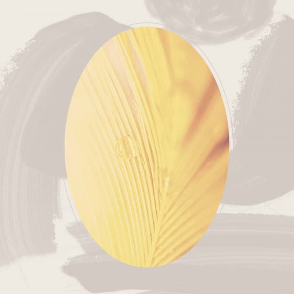 Outstanding Ambiance for Late Spring - New York Lounge Quartett