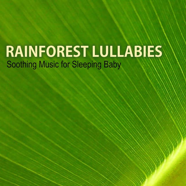 Rainforest Lullabies - Soothing Music for Sleeping Baby, Calm Sounds of Nature - Lucy Blacktop