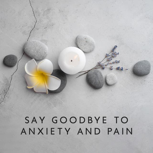 Say Goodbye to Anxiety and Pain - Unforgettable Paradise SPA Music Academy