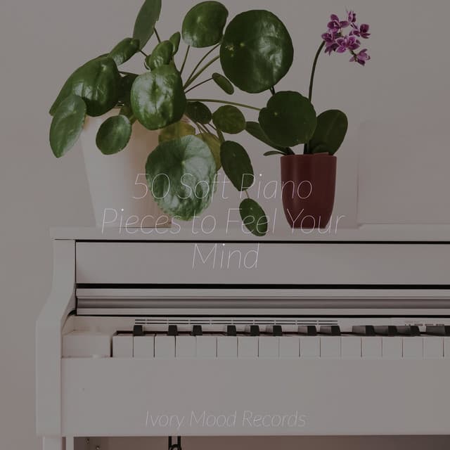 50 Soft Piano Pieces to Feel Your Mind - Pianoramix