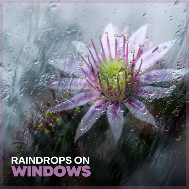 Raindrops on Windows - Sounds of Rain