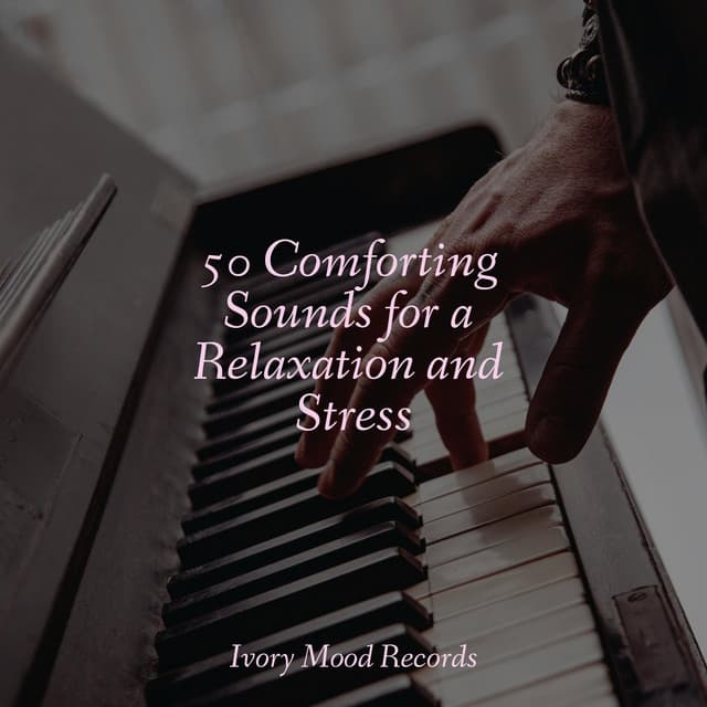 50 Comforting Sounds for a Relaxation and Stress - Ivory Mood