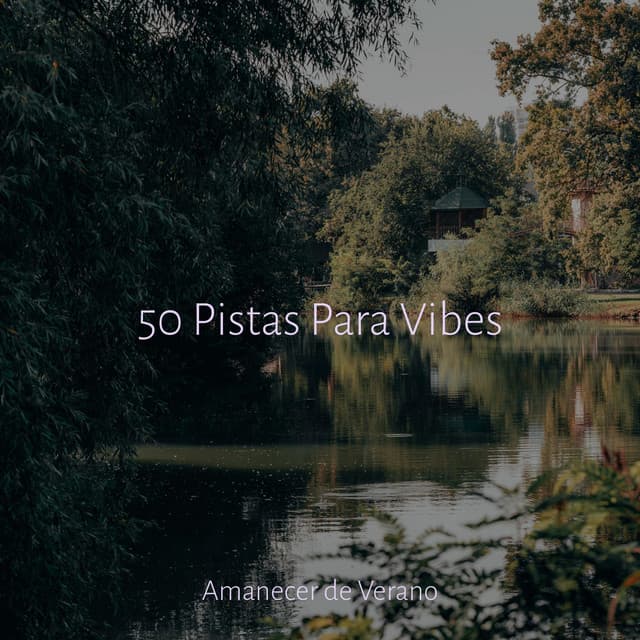 50 Pistas Para Vibes - Nature Sounds Nature Music