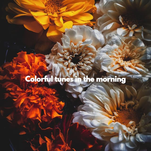 Colorful tunes in the morning - Midnight Jazz Playlist
