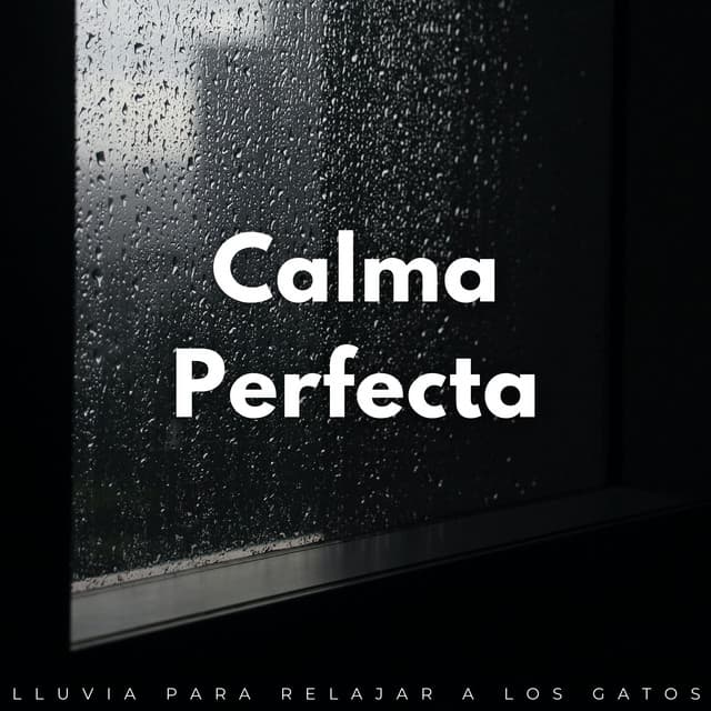 Calma Perfecta: Lluvia Para Relajar A Los Gatos - Lluvia París
