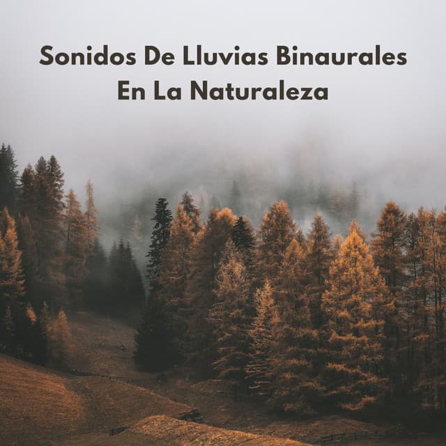 Ejemplo de biblioteca de lluvia