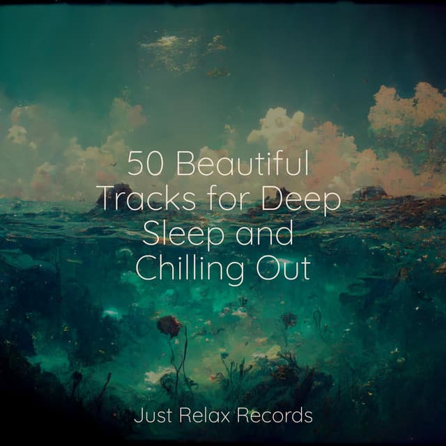 50 Beautiful Tracks for Deep Sleep and Chilling Out - Spa & Spa