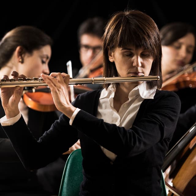 Mindful Evening: Symphony of Meditation - Charles Anderson