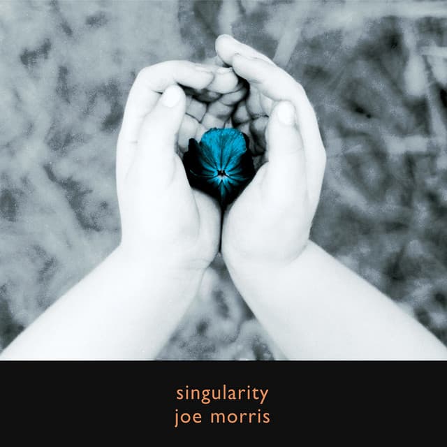 Singularity - Joe Morris