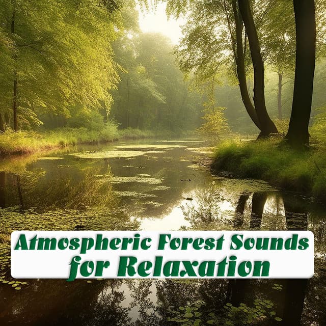 Atmospheric Forest Sounds for Relaxation - Mother Earth Sounds