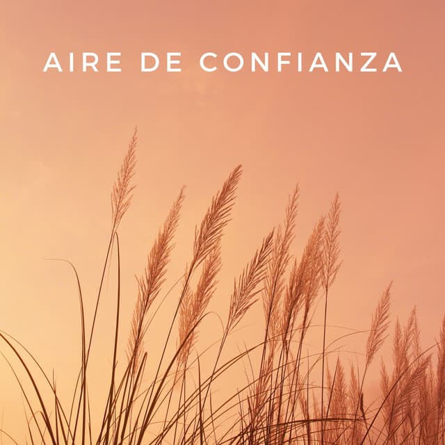 Aire De Confianza - Aire relajante