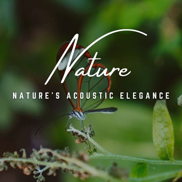 Nature's Acoustic Elegance: Earthly Harmonies - Nature Collection