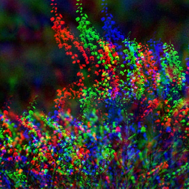 Extraordinary Acoustic and Electric Bossa Nova Piano Duo - Bgm for Quiet Focusing - Relaxing Piano Music Cool