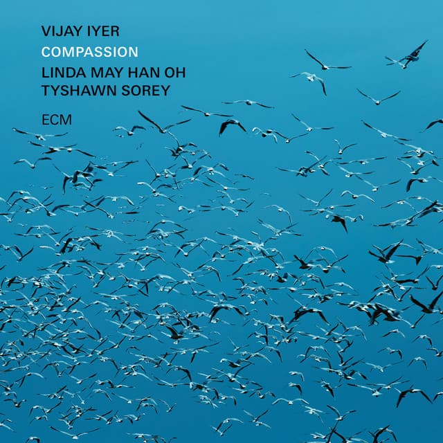 Compassion - Vijay Iyer