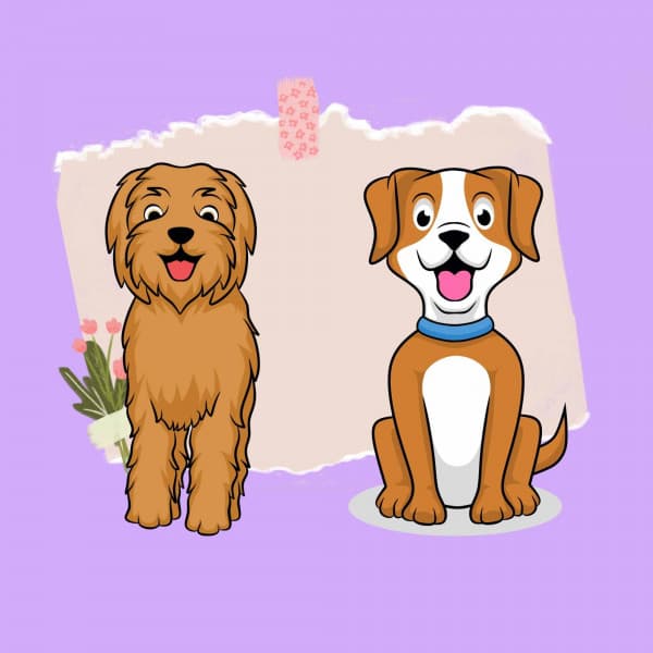 Backdrop for A Gentle Pup - Jazz Quintet - Dog Anxiety Music